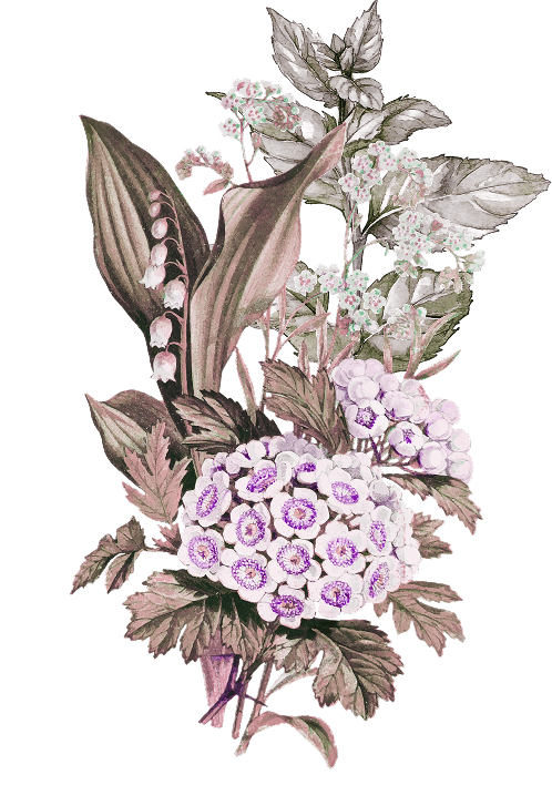 Ornaments