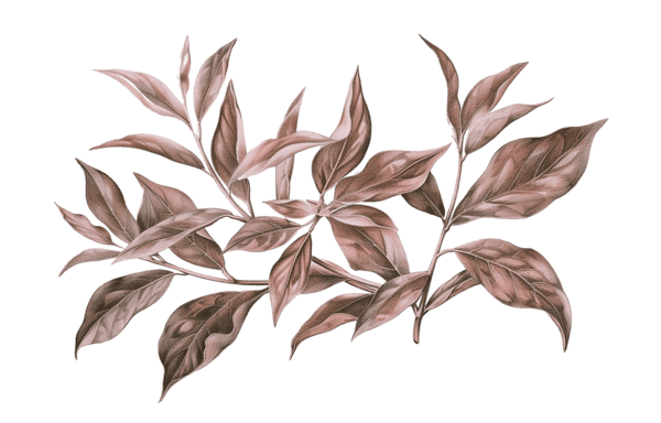 Ornaments