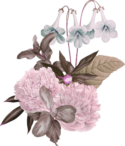 Ornaments