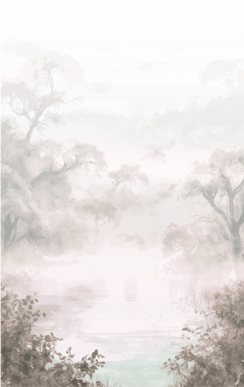 Ornaments
